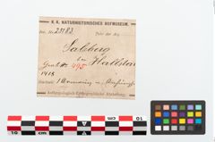 Etikett zu Bronzegehänge (NHMW-PRAE-025183)
